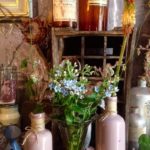 14202706_1152783154760005_6082253083032553069_n