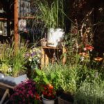 14702424_1195379073833746_2780011602790148867_n