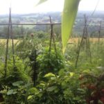 15179140_1230402606998059_1735468907444617314_n