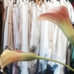 lili-tulipe-geneve-9