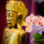 rivieraflor-geneve 8