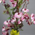 vegetal-trend-geneve 11