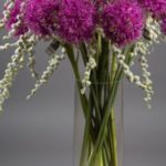 vegetal-trend-geneve 13