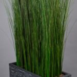 vegetal-trend-geneve 17