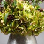 vegetal-trend-geneve 5