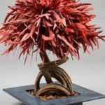 vegetal-trend-geneve 7