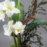 vegetal-trend-geneve 9